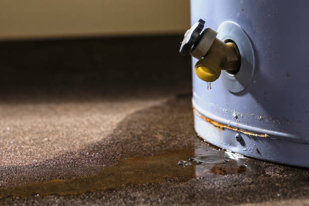 Best Residential water damage restoration  in Upper Brookville, NY