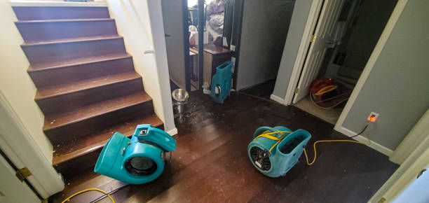 Best Local water damage restoration  in Upper Brookville, NY