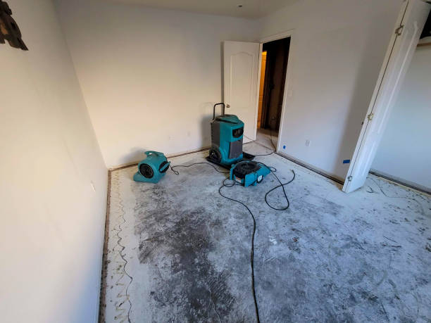 Best Water damage restoration specialists  in Upper Brookville, NY