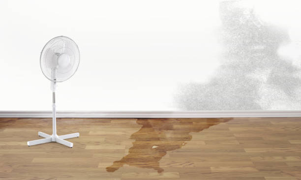Best 24/7 water damage repair  in Upper Brookville, NY