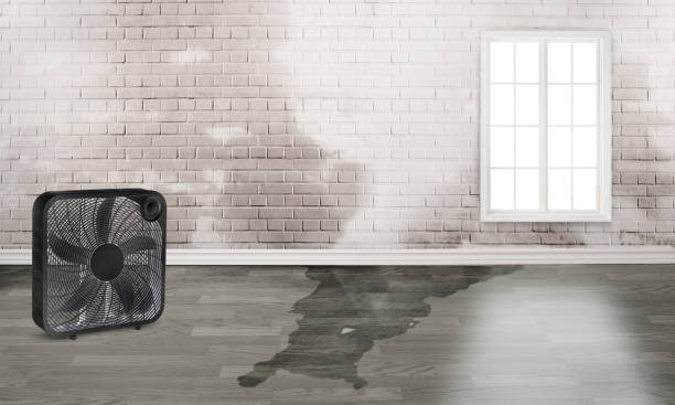 Best Water damage restoration experts  in Upper Brookville, NY