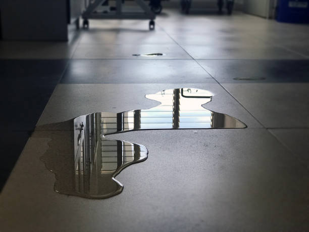 Best Commercial water damage restoration  in Upper Brookville, NY