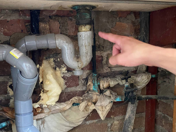 Best Water damage cleanup near me  in Upper Brookville, NY