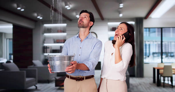 Best Water damage restoration near me  in Upper Brookville, NY